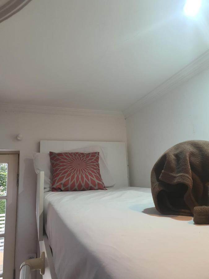 Villa Hostel Sp - Proximo Ao Allianz Parque E Paulista São Paulo Exteriér fotografie
