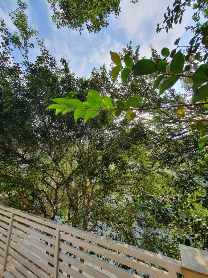 Villa Hostel Sp - Proximo Ao Allianz Parque E Paulista São Paulo Exteriér fotografie